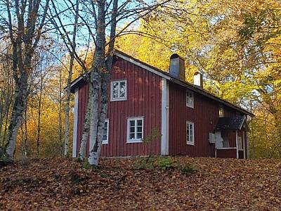 Holzhaus